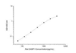 Novus Biologicals&trade;&nbsp;Rat Caspase-1 ELISA Kit (Colorimetric)