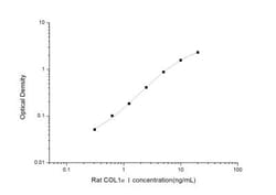 Novus Biologicals&trade;&nbsp;Rat Collagen I alpha 1 ELISA Kit (Colorimetric)