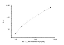 Novus Biologicals Rat Collagen IV ELISA Kit (Chemiluminescence) 1 Kit | Buy Online | Novus Biologicals&trade; | Fisher Scientific