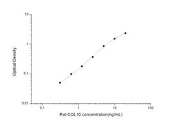 Novus Biologicals&trade;&nbsp;Rat Collagen X ELISA Kit (Colorimetric)