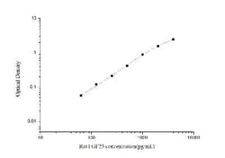 Novus Biologicals™ Rat FGF-23 ELISA Kit (Colorimetric)