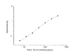 Novus Biologicals&trade;&nbsp;Rat IL-19 ELISA Kit (Colorimetric)