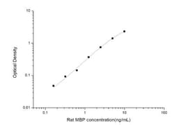 Novus Biologicals&trade;&nbsp;Rat MBP ELISA Kit (Colorimetric)