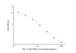 Novus Biologicals&trade;&nbsp;Rat 11-dehydro-TXB2 ELISA Kit (Colorimetric)