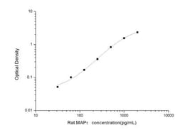 Novus Biologicals&trade;&nbsp;Rat Tau ELISA Kit (Colorimetric)