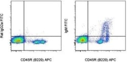 IgM Antibody (II/41) - BSA Free, Novus Biologicals 0.5 mg; Unconjugated:Antibodies,