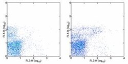 IgM Antibody (II/41) - BSA Free, Novus Biologicals 0.5 mg; Unconjugated:Antibodies,