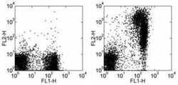 Rat anti-Mouse IgM Heavy Chain Secondary Antibody (eB121-15F9), Novus Biologicals