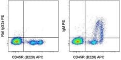 Rat anti-Mouse IgM Heavy Chain Secondary Antibody (eB121-15F9), Novus Biologicals
