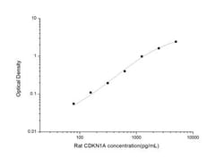 Novus Biologicals Rat p21/CIP1/CDKN1A ELISA Kit (Colorimetric) Quantity: