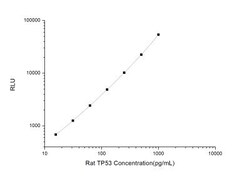 Novus Biologicals&trade;&nbsp;Rat p53 ELISA Kit (Chemiluminescence)