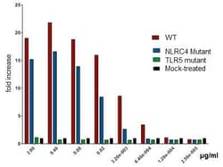 Novus Biologicals™ Recombinant Bacteria Flagellin NLRC4 Mutant His Protein