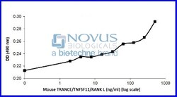Novus Biologicals Recombinant Mouse TRANCE/TNFSF11/RANK L Animal-Free Protein 100 &mu;g | Buy Online | Novus Biologicals&trade; | Fisher Scientific