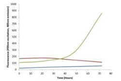 Novus Biologicals Recombinant Mouse gamma-Synuclein Active, Monomer Protein 2 x 100 &mu;g Vials | Buy Online | Novus Biologicals | Fisher Scientific