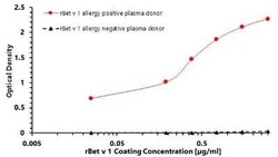 Novus Biologicals Recombinant Plant Betula verrucosa 1.0101 Strep (N-Term) Protein 0.1 mg | Buy Online | Novus Biologicals&trade; | Fisher Scientific