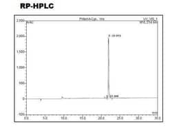 Novus Biologicals Recombinant Protein A His (C-Term) Cys (C-Term) Protein