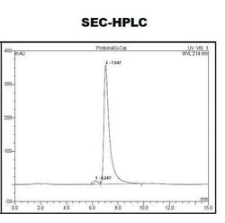 Novus Biologicals Recombinant Protein A/G Cys (C-Term) Protein 1 mg | Buy Online | Novus Biologicals&trade; | Fisher Scientific