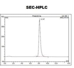 Novus Biologicals™ Recombinant Protein A Cys (C-Term) Protein