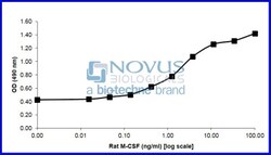 Novus Biologicals Recombinant Rat M-CSF Animal-Free Protein 2 &mu;g | Buy Online | Novus Biologicals&trade; | Fisher Scientific