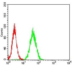 RhoF Antibody (1D4B6) - BSA Free, Novus Biologicals:Antibodies:Primary