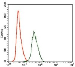 RhoGDI Antibody (2G3) - BSA Free, Novus Biologicals 0.1mL; Unlabeled:Antibodies,