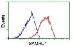 SAMHD1 Antibody (OTI3F5), Novus Biologicals 0.1mL; Unlabeled:Antibodies,