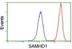 SAMHD1 Antibody (OTI3F5), Novus Biologicals 0.1mL; Unlabeled:Antibodies,