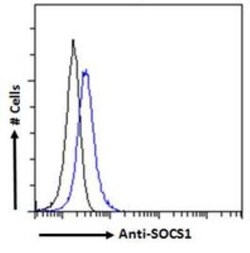 SOCS-1 Antibody, Novus Biologicals 0.1mg; Unlabeled:Antibodies, Polyclonal