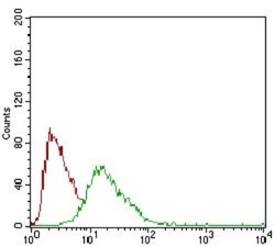 SOX10 Antibody (2E7B5) - BSA Free, Novus Biologicals 0.1mL; Unlabeled:Antibodies,