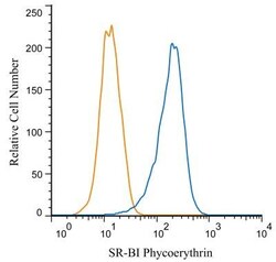 SR-BI Antibody - BSA Free, Novus Biologicals 0.025mL; Unlabeled:Antibodies,