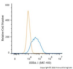 SSEA-1 Antibody (MC-480), Novus Biologicals 0.025mL; Unlabeled:Antibodies,