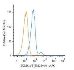 Mouse anti-SUMO2/3, Clone: SM23/496, Azide Free, Novus Biologicals:Antibodies:Primary