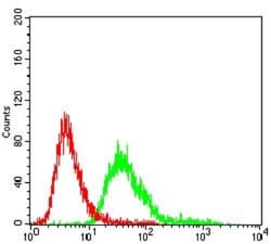 Serpin A3/alpha 1-Antichymotrypsin Antibody (5G3C11) - BSA Free, Novus