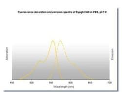 Sheep anti-Rabbit IgG (H+L) Secondary Antibody (Pre-adsorbed), Novus Biologicals