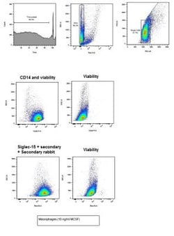 Siglec-15 Antibody - BSA Free, Novus Biologicals:Antibodies:Primary Antibodies