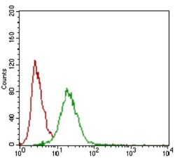 Siglec-2/CD22 Antibody (1A3A11) - BSA Free, Novus Biologicals 0.1mL; Unlabeled:Antibodies,