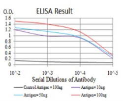 Sirtuin 3/SIRT3 Antibody (6B2A1) - BSA Free, Novus Biologicals 0.1mg; Unlabeled:Antibodies,
