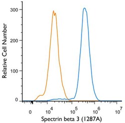 Spectrin beta 3 Antibody (1287A) - Azide and BSA Free, Novus Biologicals 0.025 mg | Buy Online | Novus Biologicals | Fisher Scientific