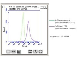 Sulfatase-2/SULF2 Antibody (2B4) - BSA Free, Novus Biologicals 0.025mL;