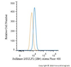 Sulfatase-2/SULF2 Antibody (2B4) - BSA Free, Novus Biologicals 0.025mL;
