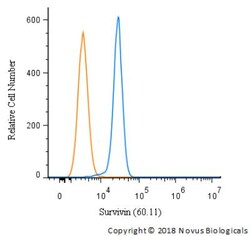 Survivin Antibody (60.11) - Unpurified, Novus Biologicals 0.1mL; Unlabeled:Antibodies,
