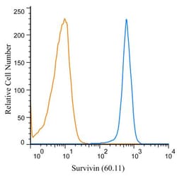 Survivin Antibody (60.11) - BSA Free, Novus Biologicals 0.1mL; Unlabeled:Antibodies,