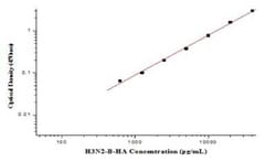 Novus Biologicals&nbsp;Swine Influenza A H3N2 Hemagglutinin ELISA Kit (Colorimetric)