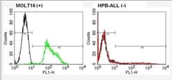 TCR alpha Antibody (F1), Novus Biologicals 200 &mu;g; Unconj&mu;gated:Antibodies,