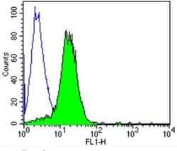 TCR gamma/delta Antibody (5A6.E9), Novus Biologicals 0.2mg; Unlabeled:Antibodies,