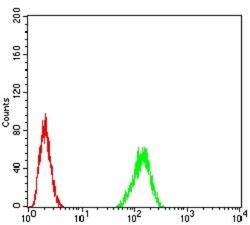 TDP-43/TARDBP Antibody (7F9A6) - BSA Free, Novus Biologicals:Antibodies:Primary