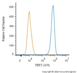 TERT Antibody (2C4), Novus Biologicals 0.025mL; Unlabeled:Antibodies, Monoclonal