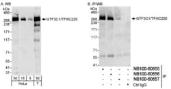 TFIIIC Antibody, Novus Biologicals 0.1mg; Unlabeled:Antibodies, Polyclonal