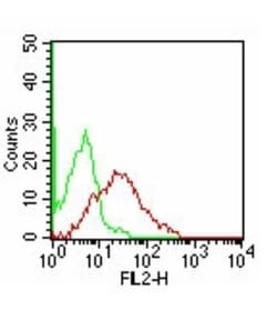TIM-3 Antibody (F38-2E2) - BSA Free, Novus Biologicals 0.025mg; Unlabeled:Antibodies,