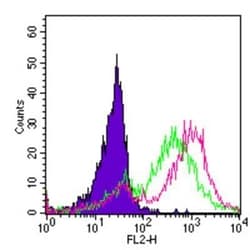 TLR2 Antibody (TL2.1) - BSA Free, Novus Biologicals 0.1mg; Unlabeled:Anticuerpos
